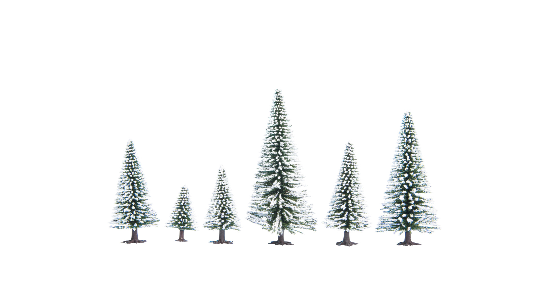 NOCH 32828 - Snow firs