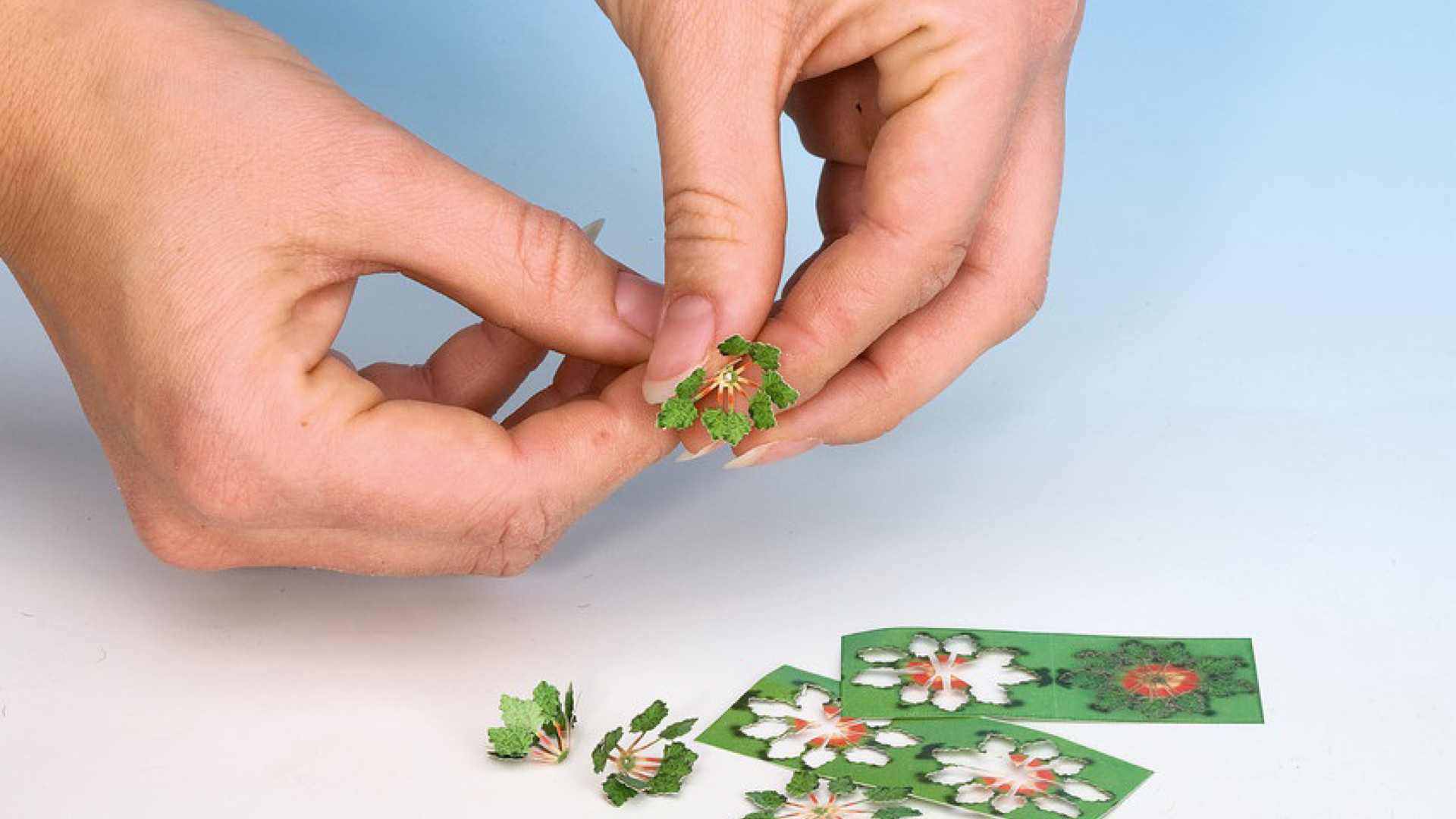 NOCH 14138 - Nettles