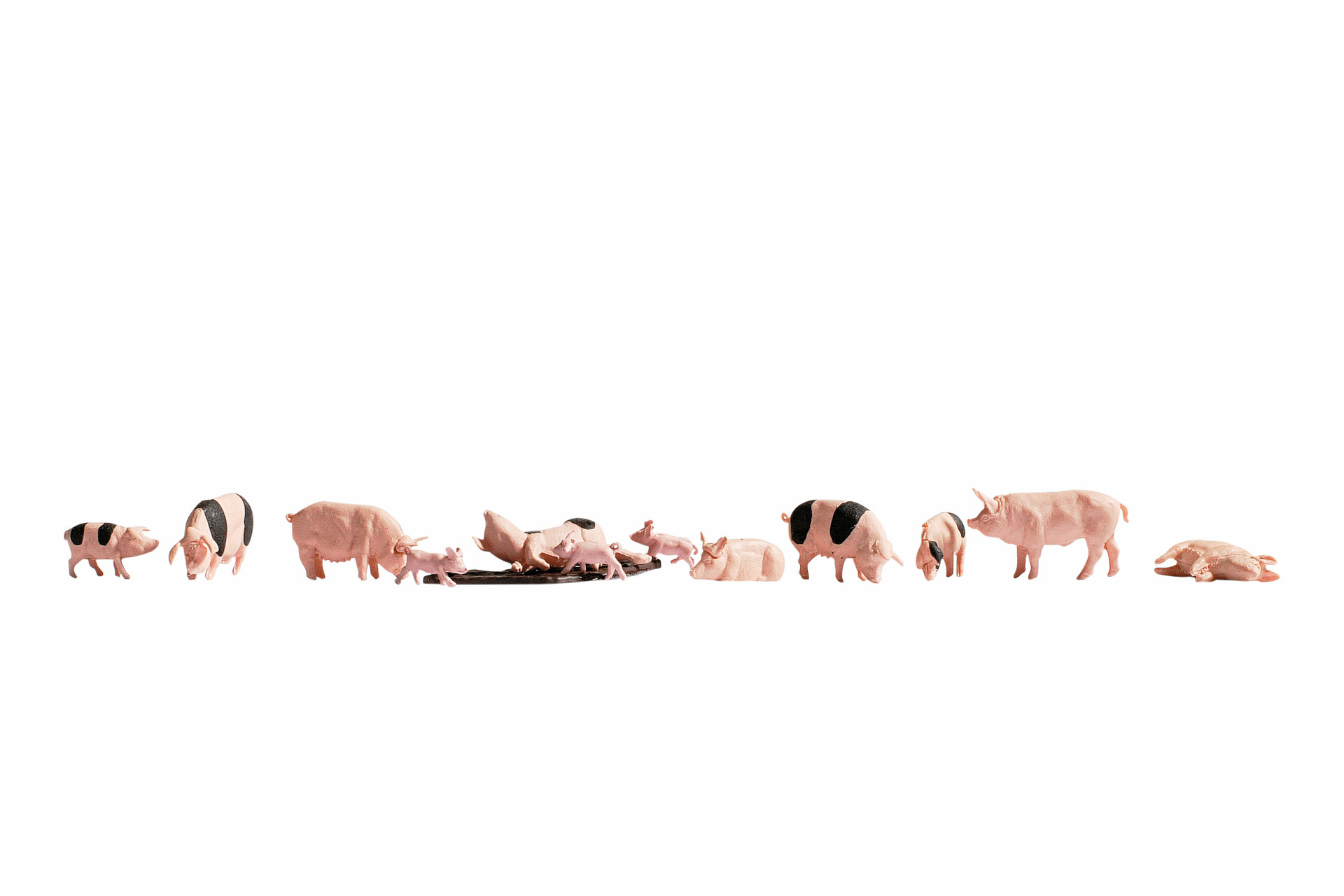 NOCH 36712 - Pigs