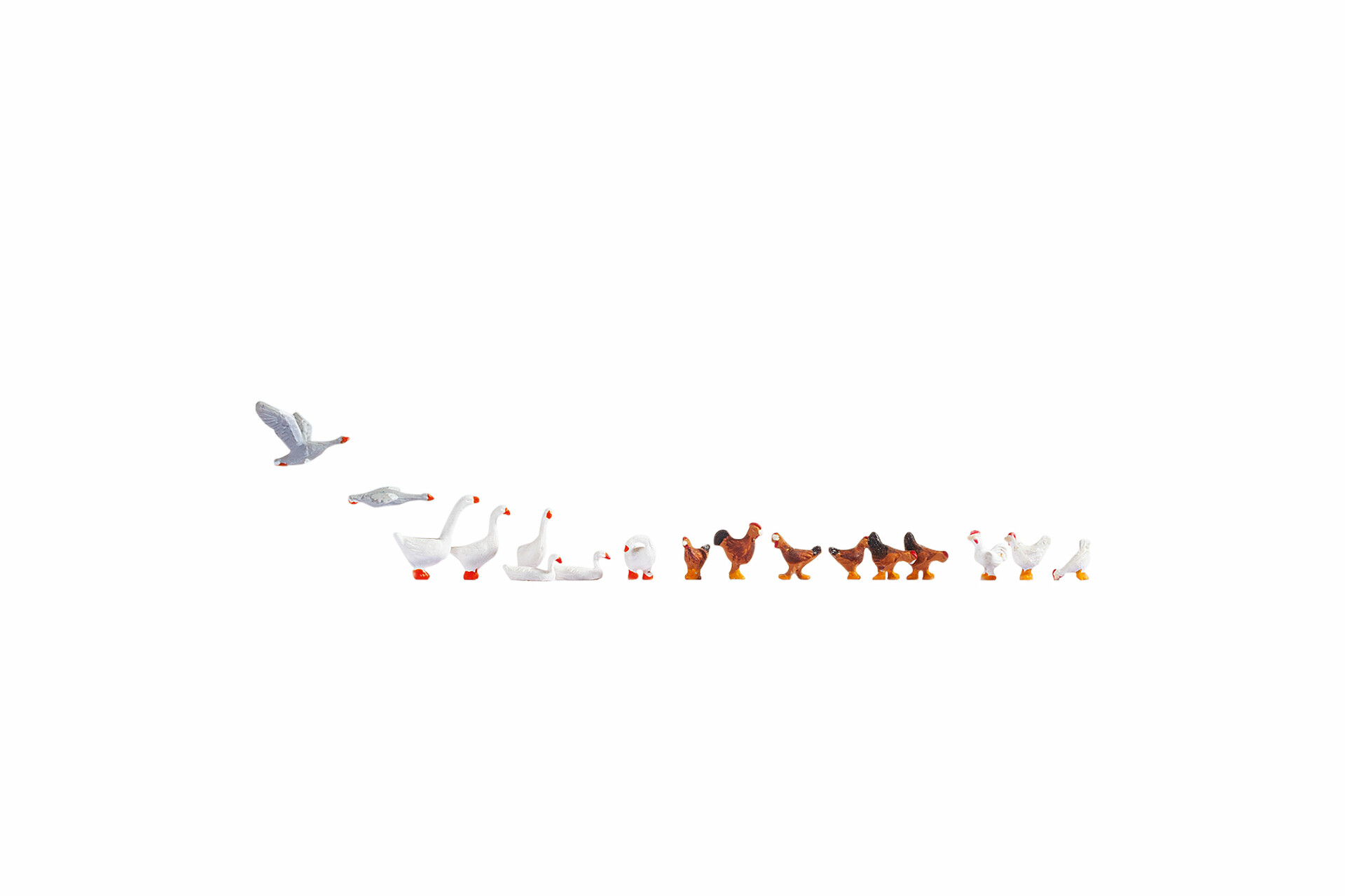 NOCH 15772 - Chickens and Geese