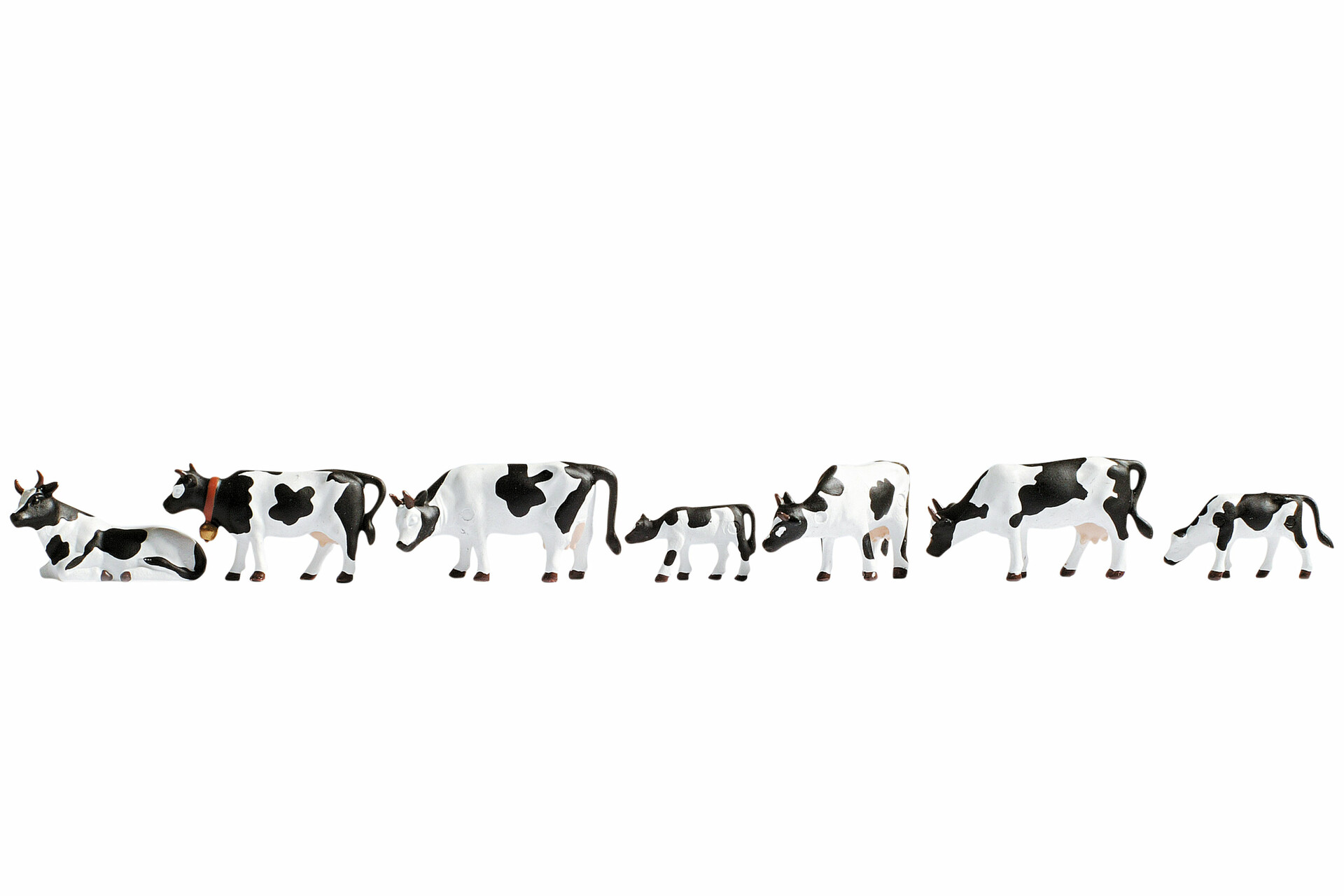 NOCH 45721 - Cows, black and white