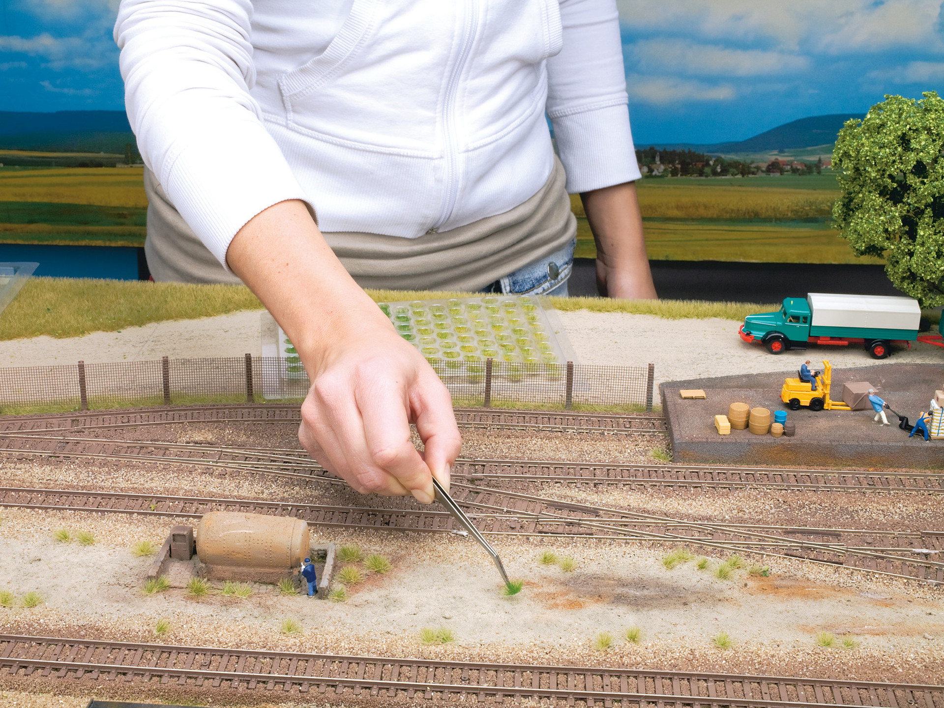 NOCH 07009 - Tufts of grass