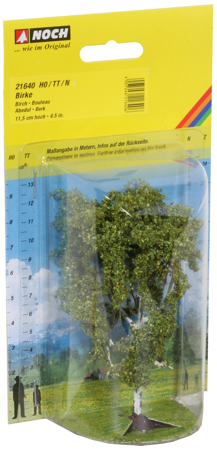 NOCH 21640 - Birch