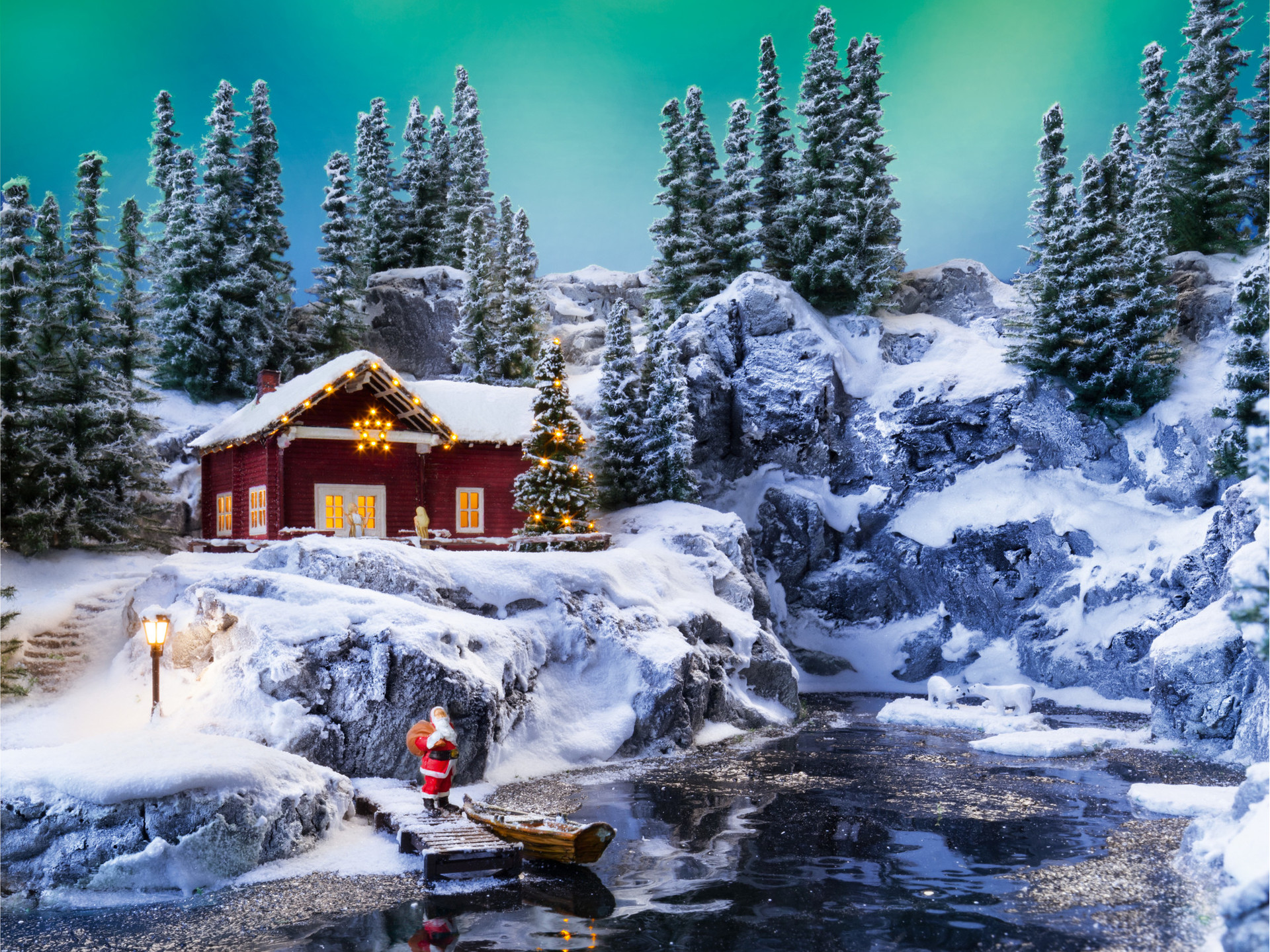 NOCH 25087 - Snow firs