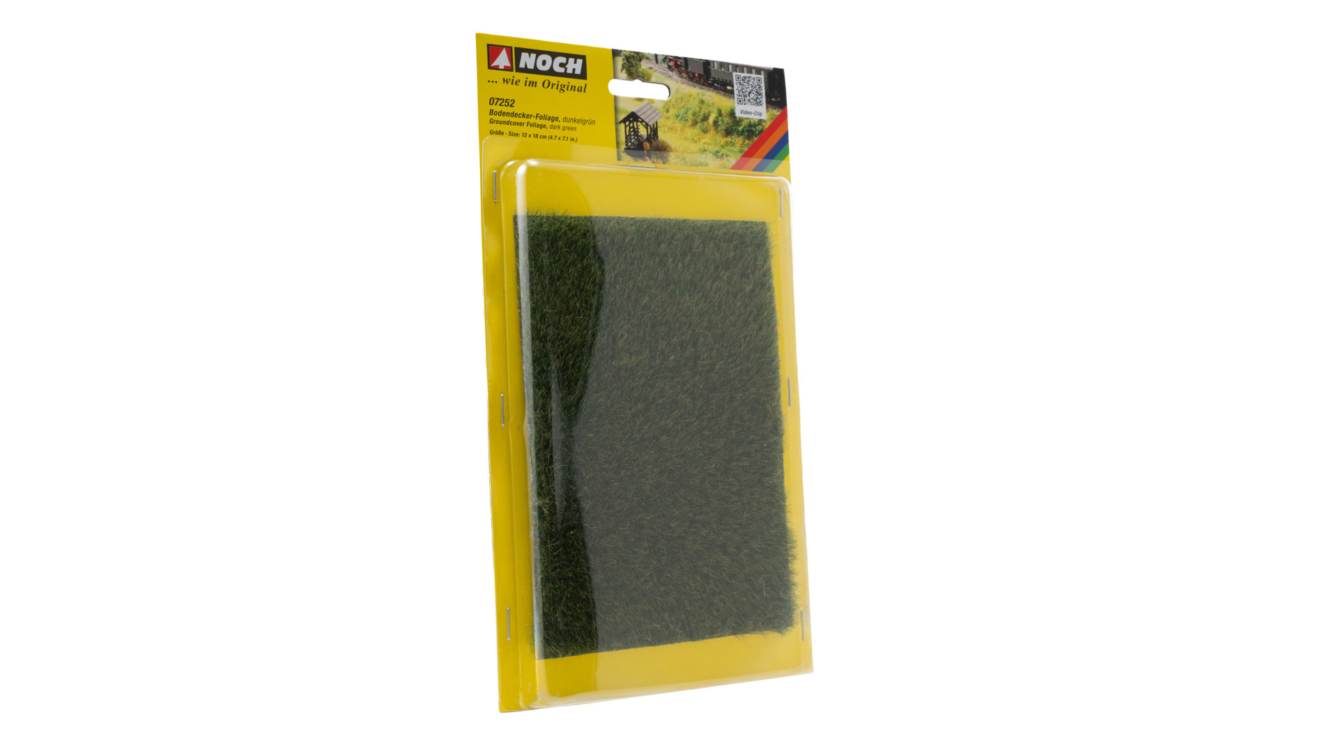 NOCH 07252 - Ground cover foliage dark green