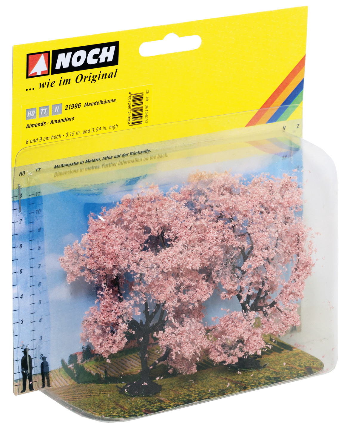 NOCH 21996 - Almond trees