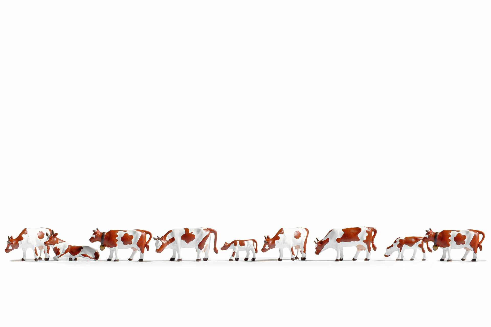 NOCH 36723 - Cows, brown and white