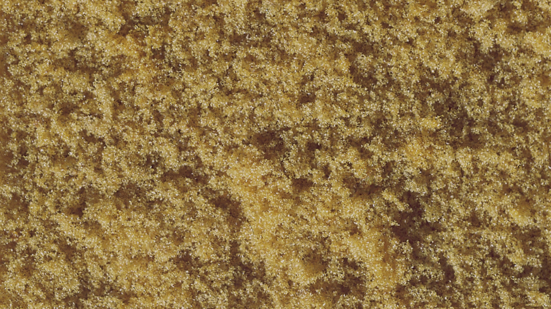 NOCH 07225 - Flockage