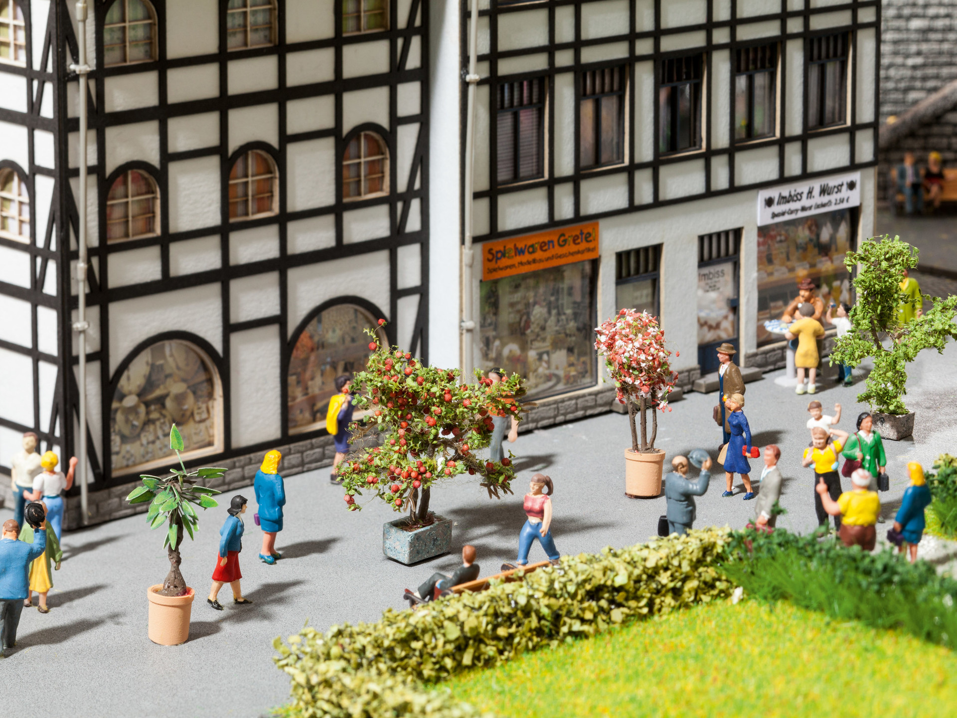 NOCH 14020 - Ornamental plants in flower pots