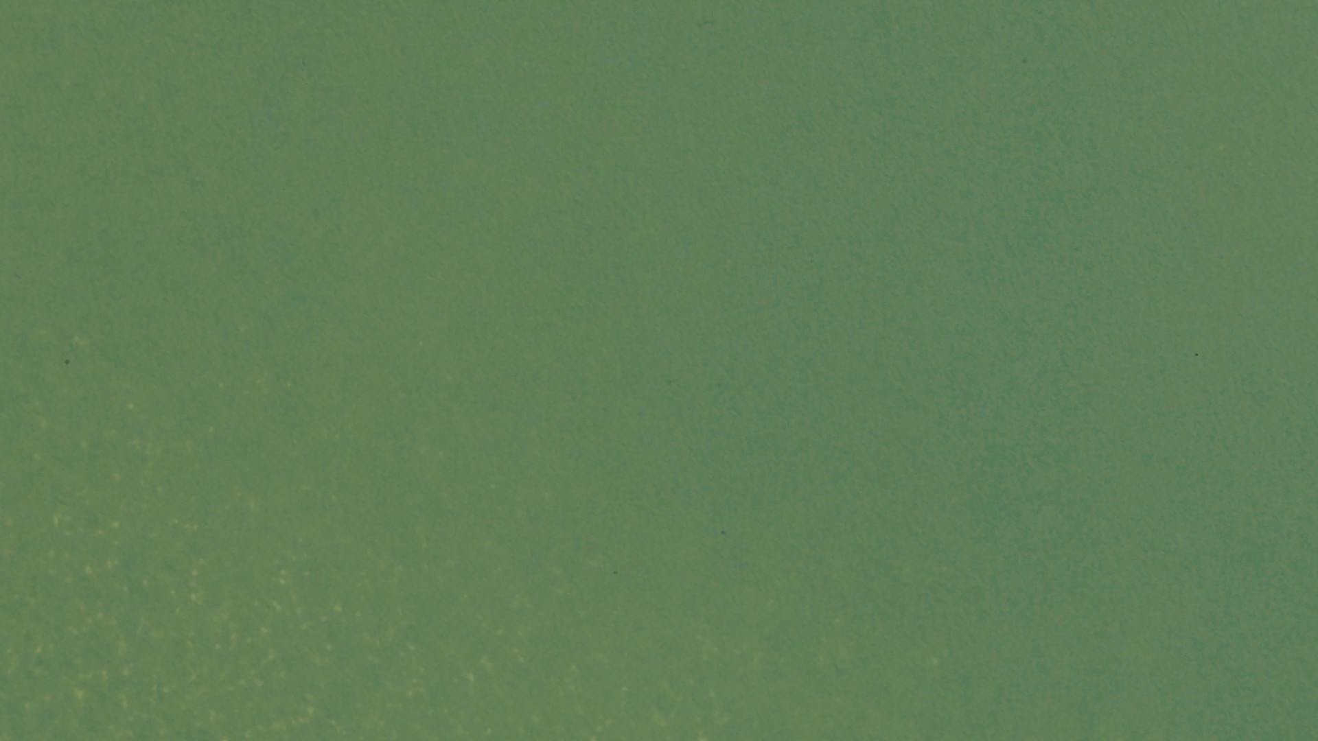 NOCH 61194 - Acrylic paint, matte, light green