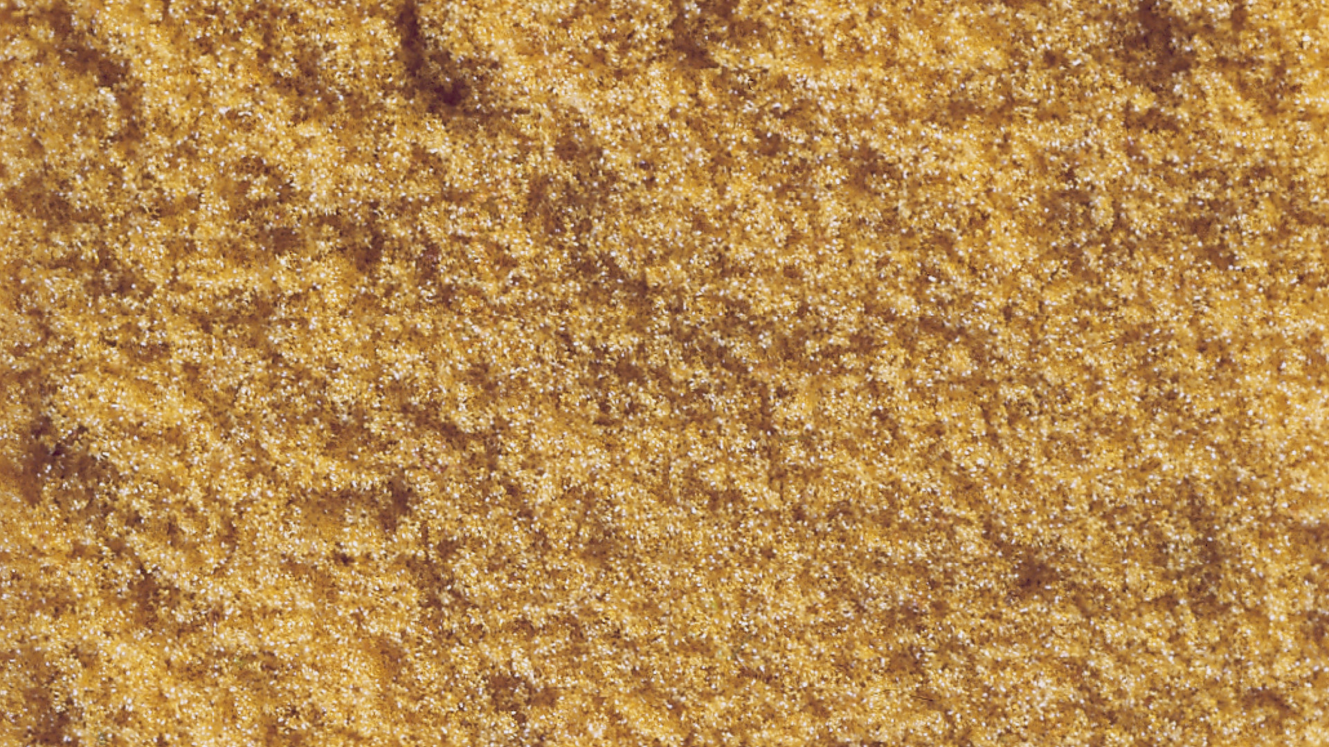 NOCH 07223 - Flockage