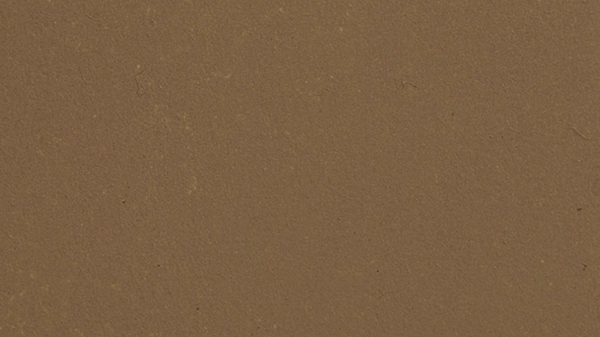 NOCH 61189 - Acrylic paint, matte, dark brown