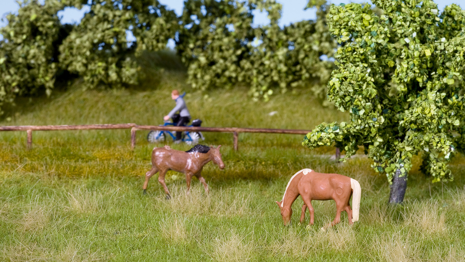 NOCH 07403 - Nature+ “Meadow Summer”