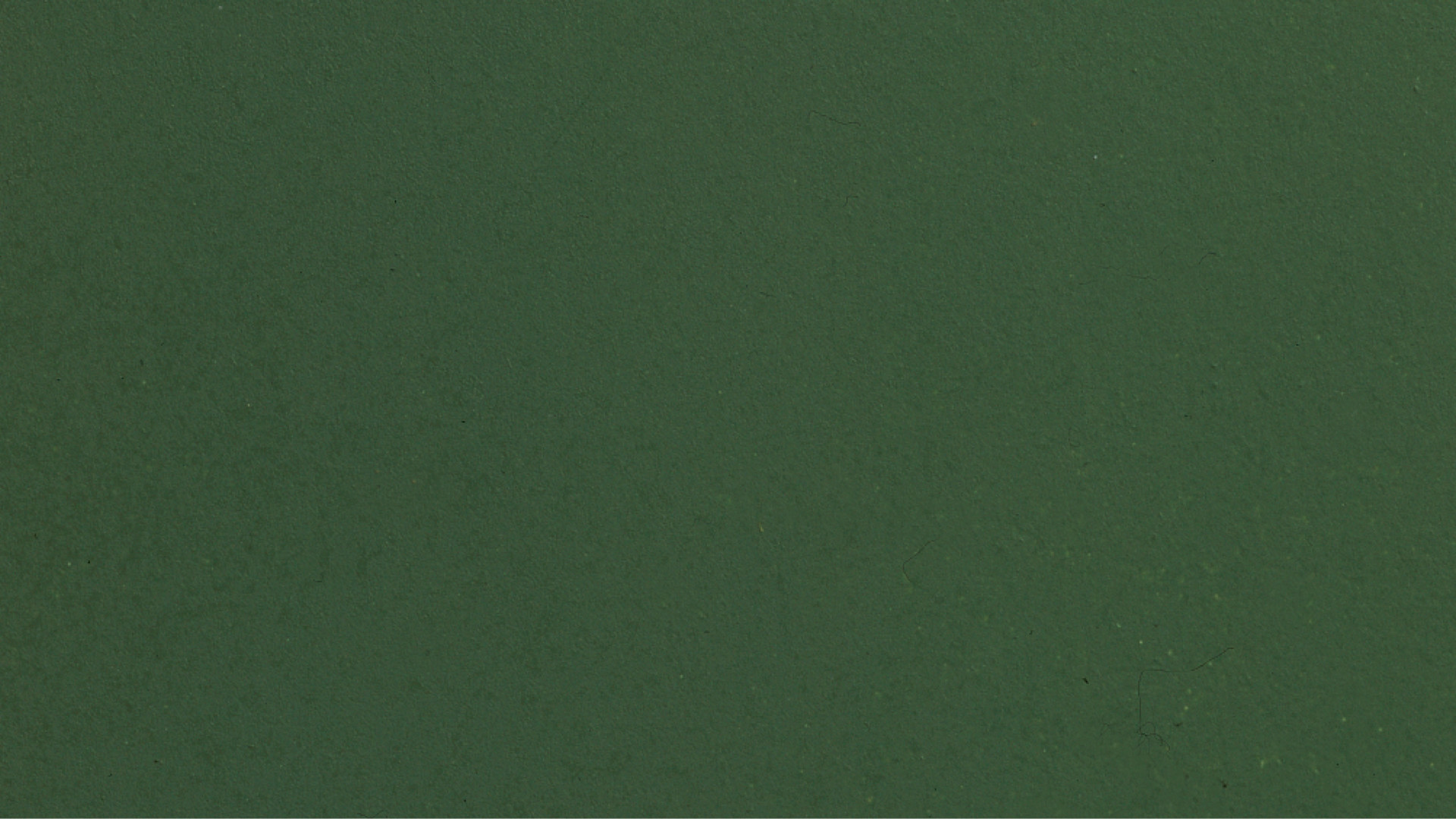 NOCH 61195 - Acrylic paint, matte, dark green