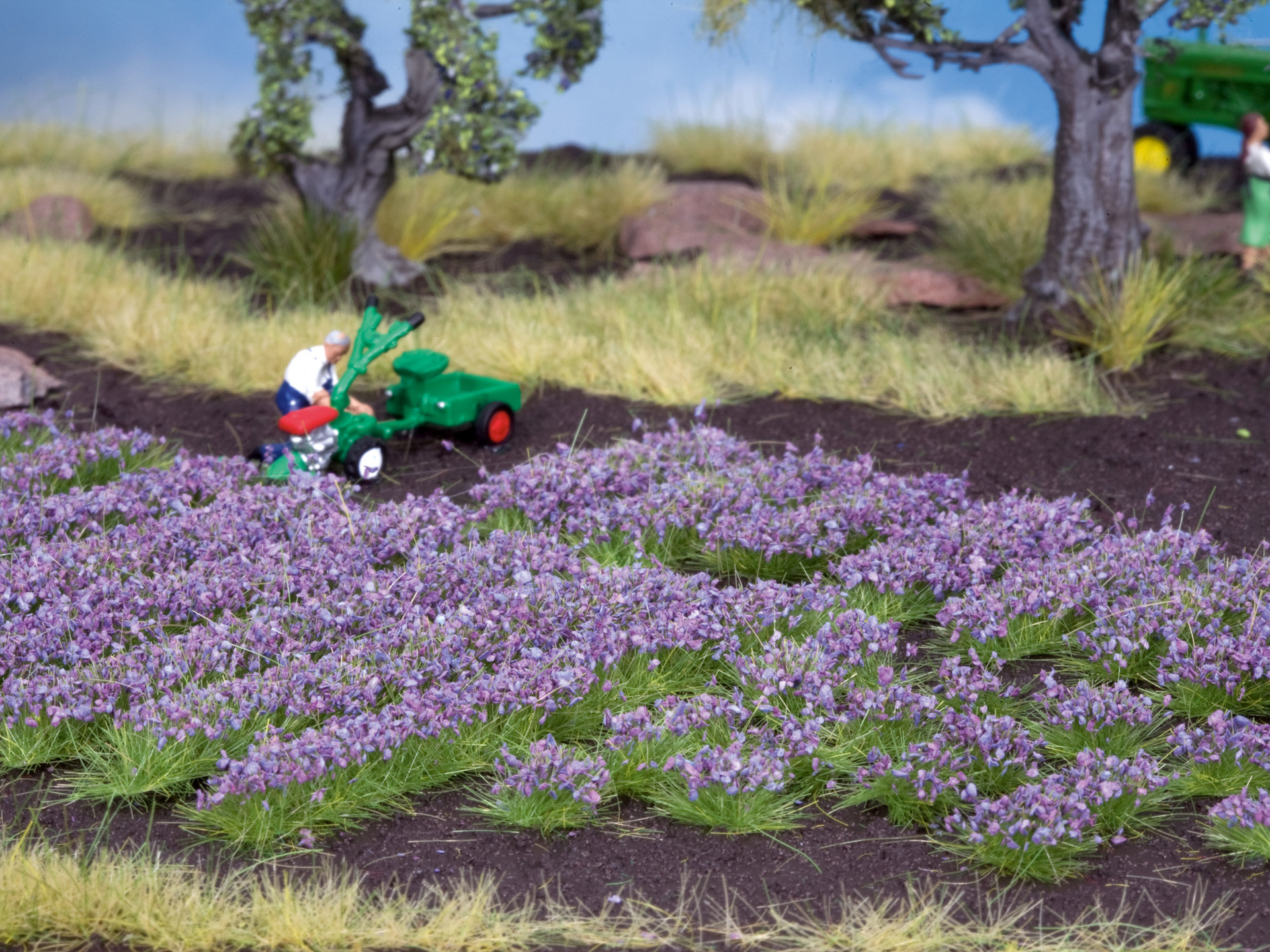 NOCH 07136 - Lavender