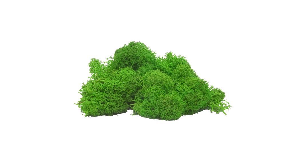 Vollmer 48409 - moss light green, 40 g