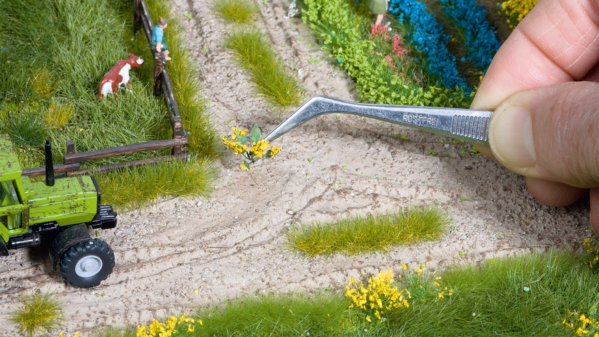 NOCH 14056 - Field and meadow plants