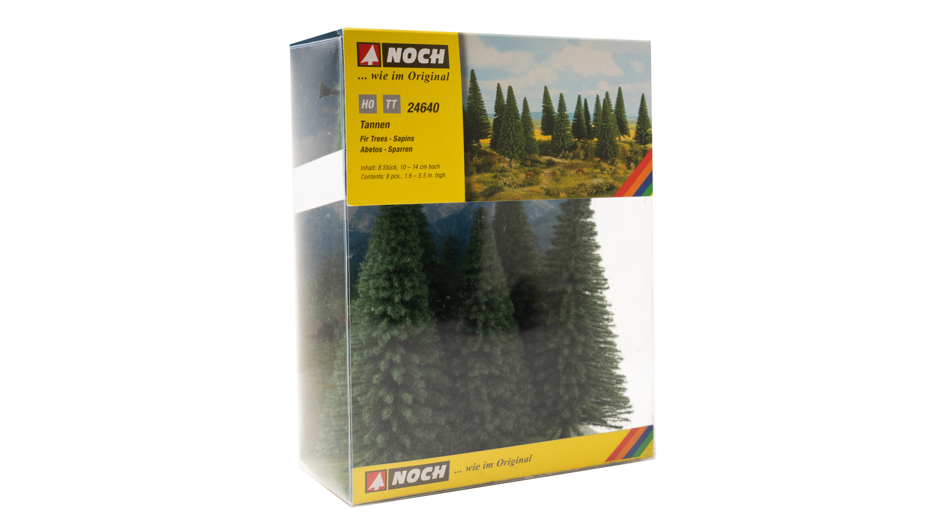 NOCH 24640 - Firs