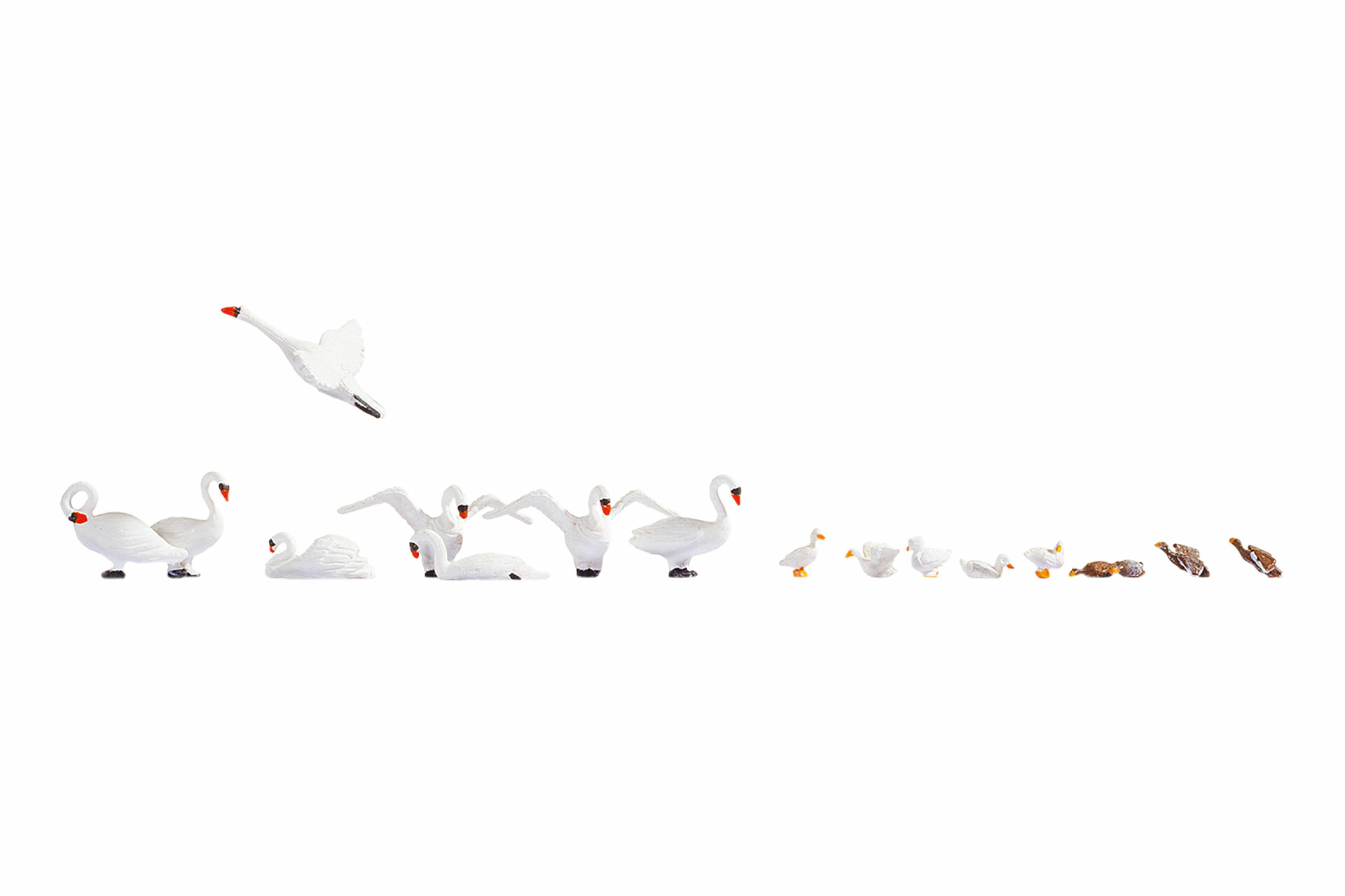 NOCH 15774 - Swans and Ducks