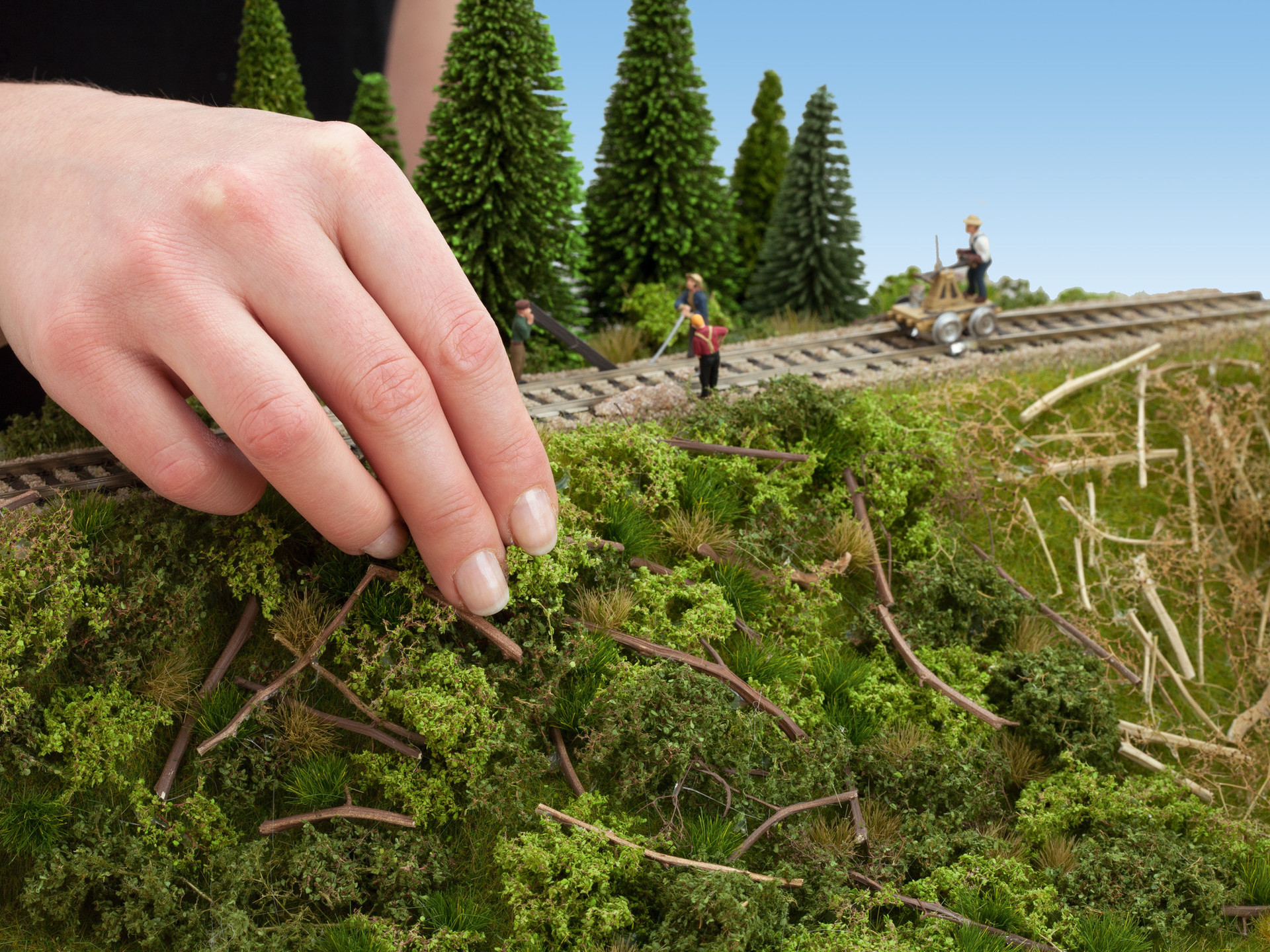 NOCH 23102 - Railway embankment vegetation