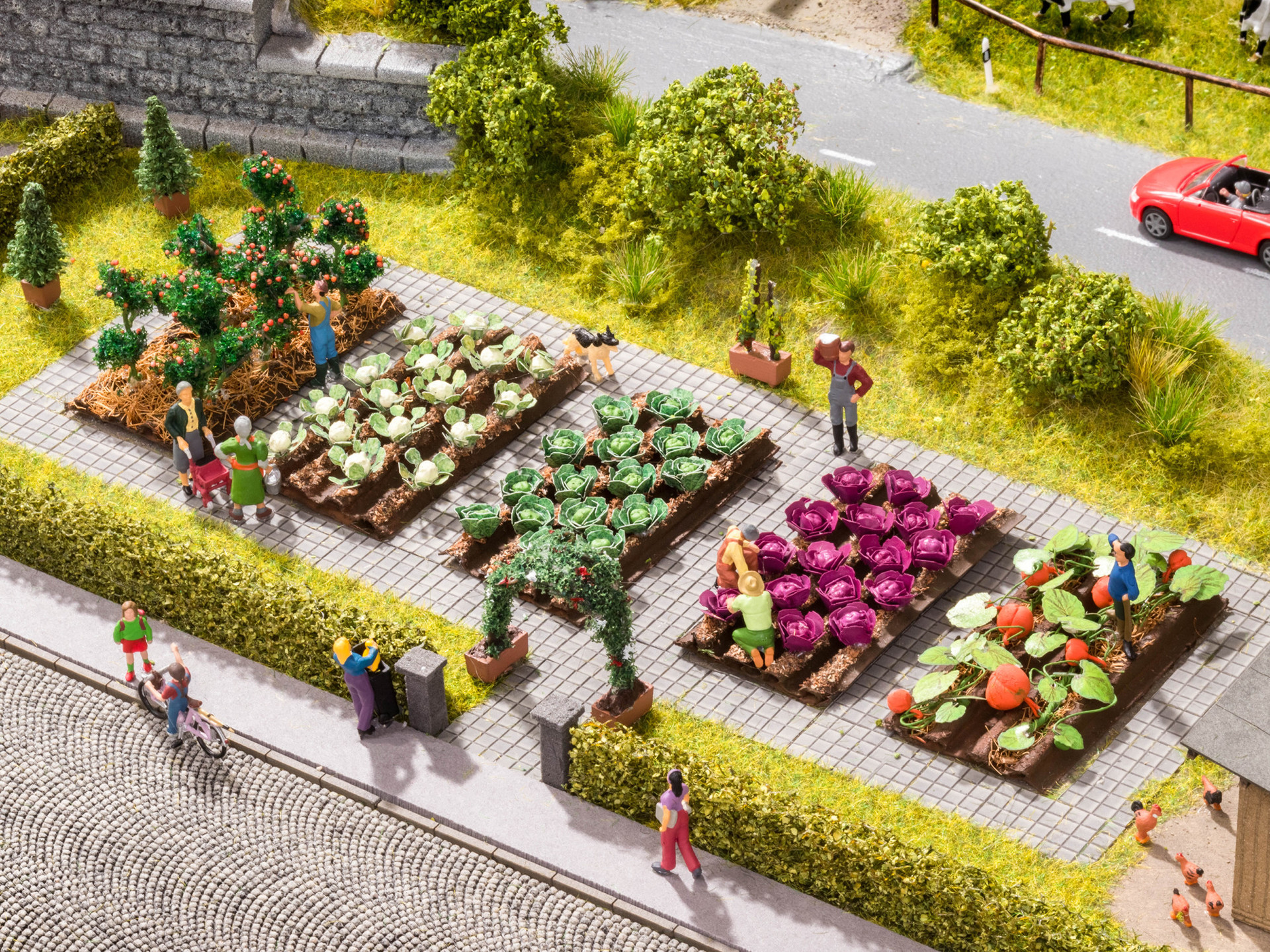 NOCH 13219 - Pumpkin