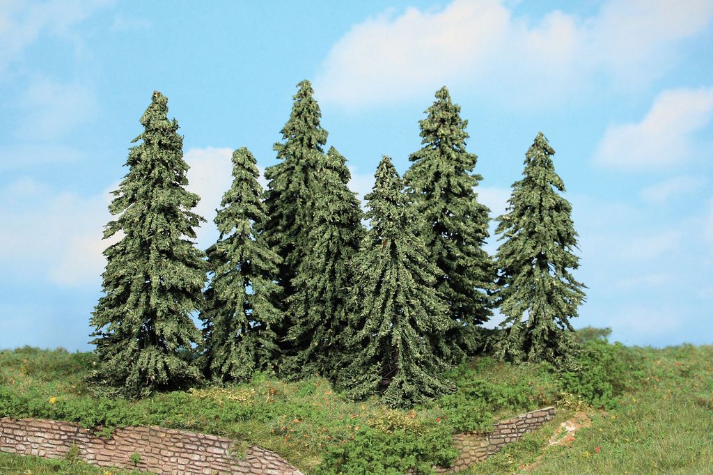 Heki 21802 - 7 weather spruces 10-14 cm