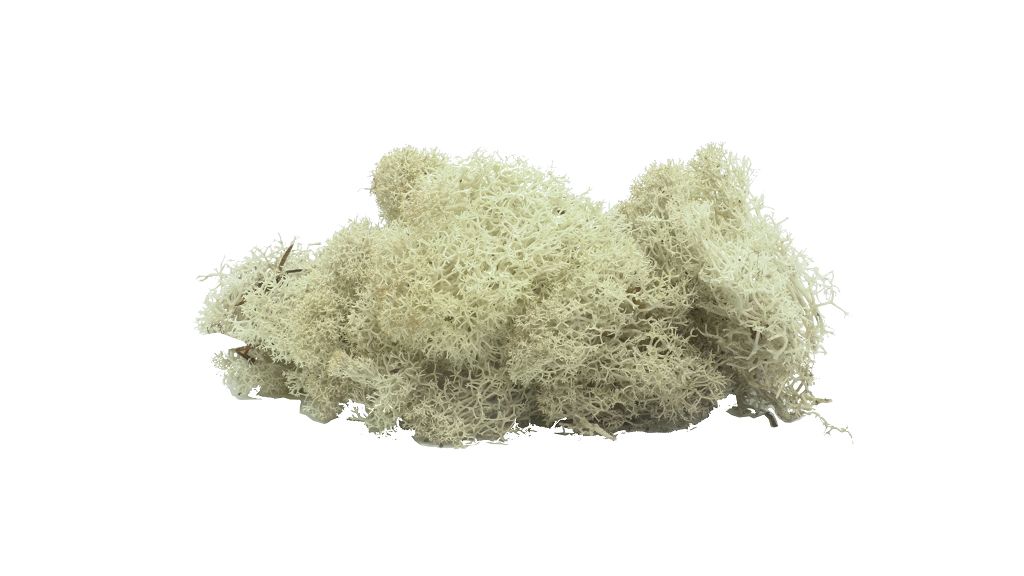 Vollmer 48411 - moss gray, 40 g